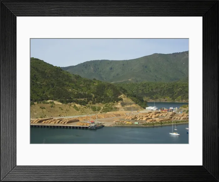 Framed Print : Timber trade storage place for timber felled around the Marlborough Sounds at Picton Harbour Picton, Marlborough Sounds, South Island, New Zealand Framed Print : Timber trade storage place for timber felled around the Marlborough Sounds at Picton Harbour Picton, Marlborough Sounds, South Island, New Zealand
