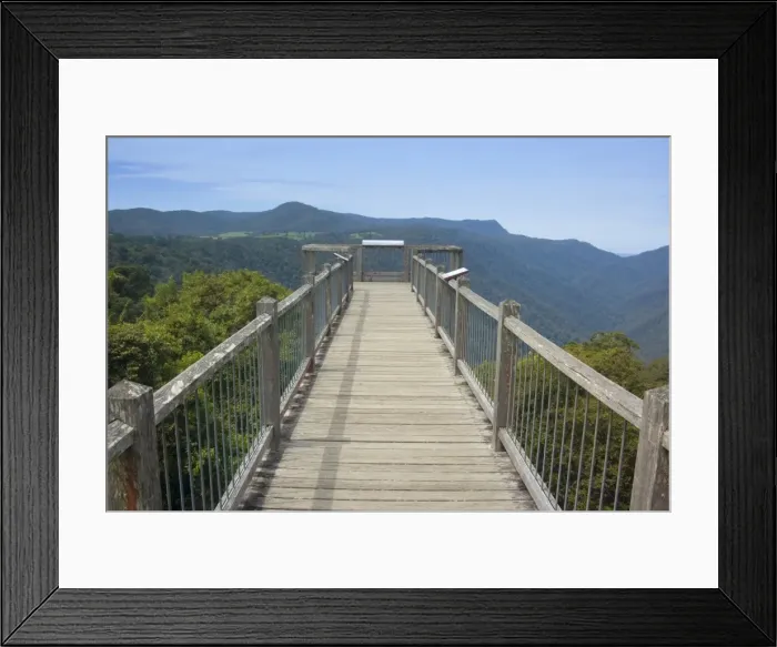 Framed Print : Skywalk over rainforest - this boardwalk is built on top of the mountain range near the Dorrigo Rainforest Centre and provides an amazing view over the rainforest canopy - Dorrigo National Park Framed Print : Skywalk over rainforest - this boardwalk is built on top of the mountain range near the Dorrigo Rainforest Centre and provides an amazing view over the rainforest canopy - Dorrigo National Park