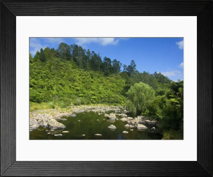 Framed Print : Karangahake Gorge - river flowing through Karangahake gorge surrounded by native rainforest with lots of tree ferns Waikato, North Island, New Zealand Framed Print : Karangahake Gorge - river flowing through Karangahake gorge surrounded by native rainforest with lots of tree ferns Waikato, North Island, New Zealand