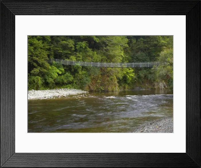 Framed Print : Swing Bridge leading over picturesque Hutt river with dense temperate rainforest alongside its banks Kaitoke Regional Park, Wellington District, North Island, New Zealand Framed Print : Swing Bridge leading over picturesque Hutt river with dense temperate rainforest alongside its banks Kaitoke Regional Park, Wellington District, North Island, New Zealand