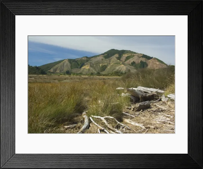 Framed Print : Deforestation radical felling of timber plantations on picturesque Kenepuru Sound Marlborough Sounds, South Island, New Zealand Framed Print : Deforestation radical felling of timber plantations on picturesque Kenepuru Sound Marlborough Sounds, South Island, New Zealand