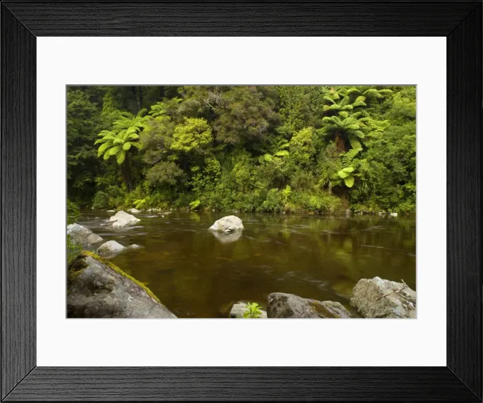Framed Print : Hutt River picturesque Hutt river with dense temperate rainforest alongside its banks Kaitoke Regional Park, Wellington District, North Island, New Zealand Framed Print : Hutt River picturesque Hutt river with dense temperate rainforest alongside its banks Kaitoke Regional Park, Wellington District, North Island, New Zealand