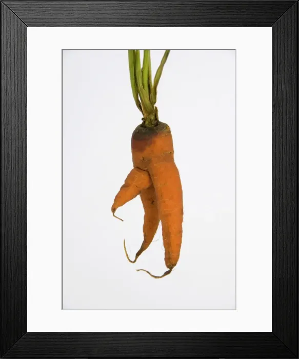 Framed Print : Carrot - man carrot Framed Print : Carrot - man carrot