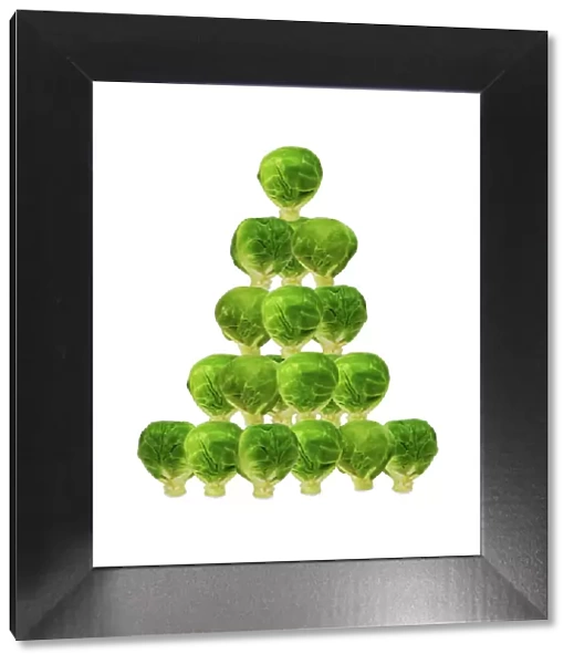Brussel Sprout - in Christmas tree shape