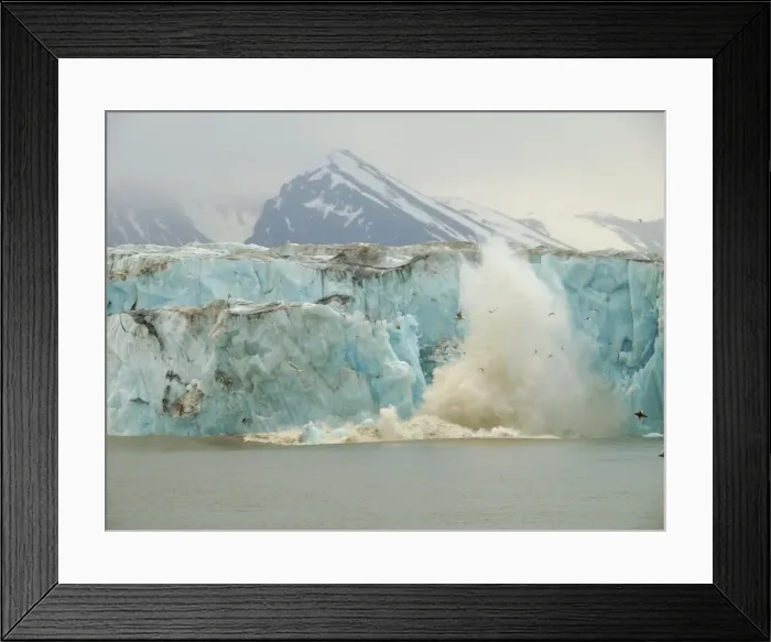 Framed Print : Calving glacier - ice breaking off into the sea - Liefdefjorden - Svalbard - Norway Framed Print : Calving glacier - ice breaking off into the sea - Liefdefjorden - Svalbard - Norway