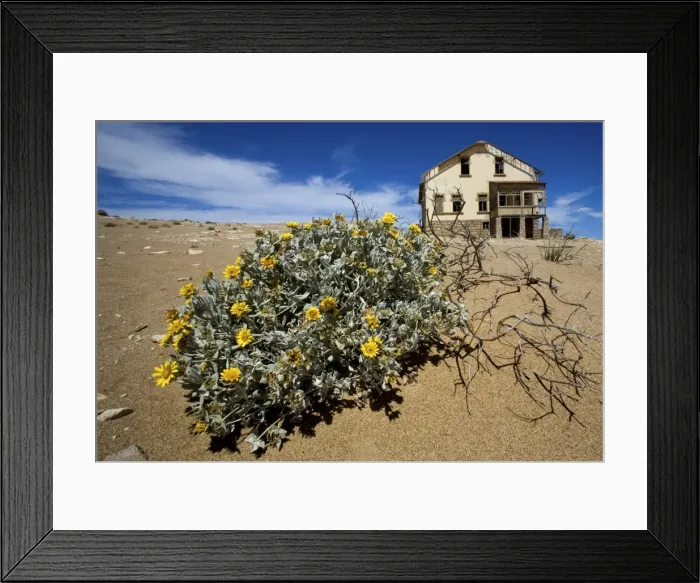 Framed Print : Old Mining Town near Luderitz called Ghost Town - Namibia - Africa Framed Print : Old Mining Town near Luderitz called Ghost Town - Namibia - Africa