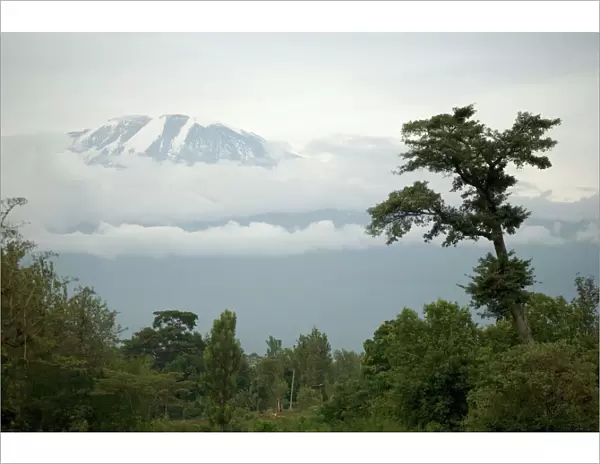 Mount Kilimanjaro - Snow melting on summit - Tanzania - Africa