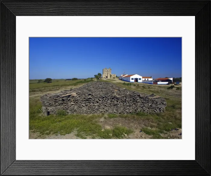 Framed Print : Cork Oak - stack of stripped bark, Camoeira estate, Alentejo, Portrugal Framed Print : Cork Oak - stack of stripped bark, Camoeira estate, Alentejo, Portrugal