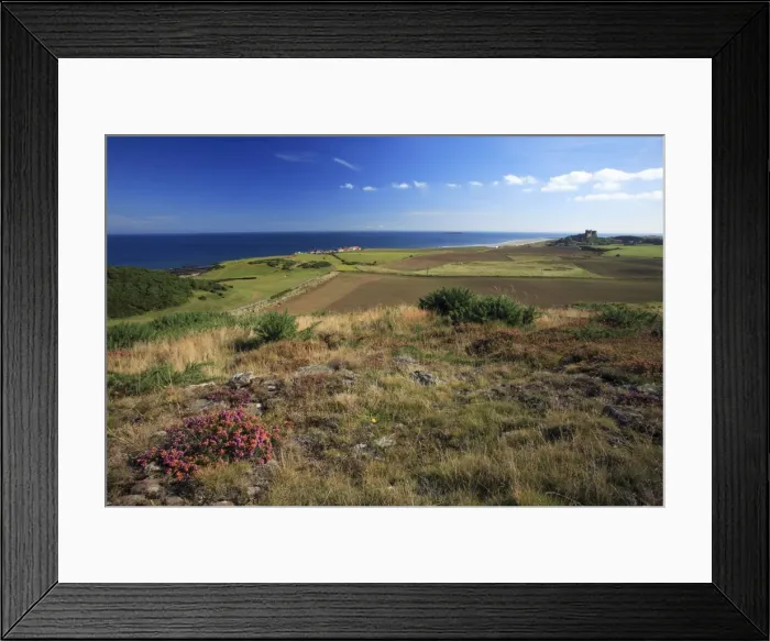 Framed Print : Bamburgh Castle - view from golf course looking south, Northumberland National Park, England Framed Print : Bamburgh Castle - view from golf course looking south, Northumberland National Park, England