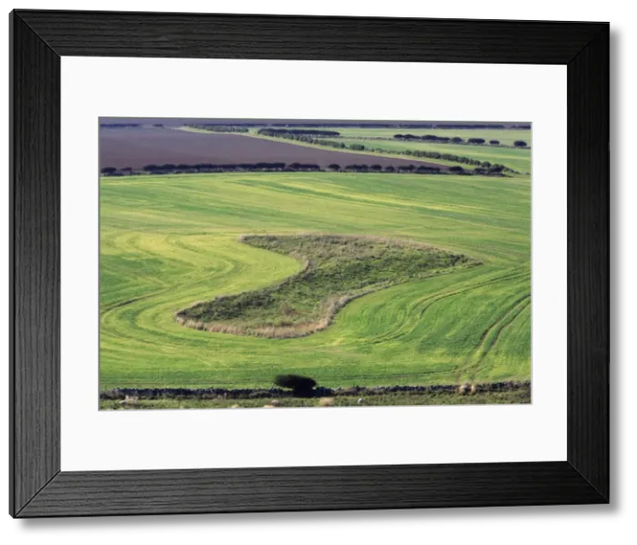 Framed Print : Arable Fields - hedges and fallow land beside North Sea coast, Northumberland, England