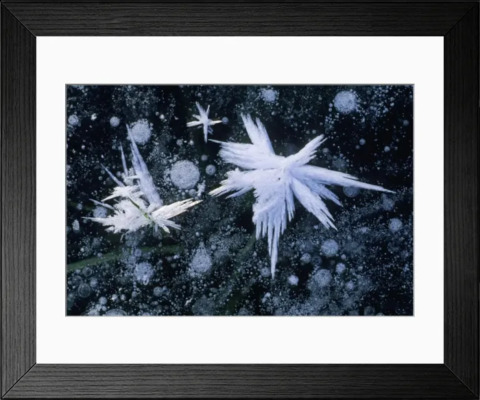 Framed Print : Frost crystals - on frozen pond in winter, Lower Saxony, Germany Framed Print : Frost crystals - on frozen pond in winter, Lower Saxony, Germany