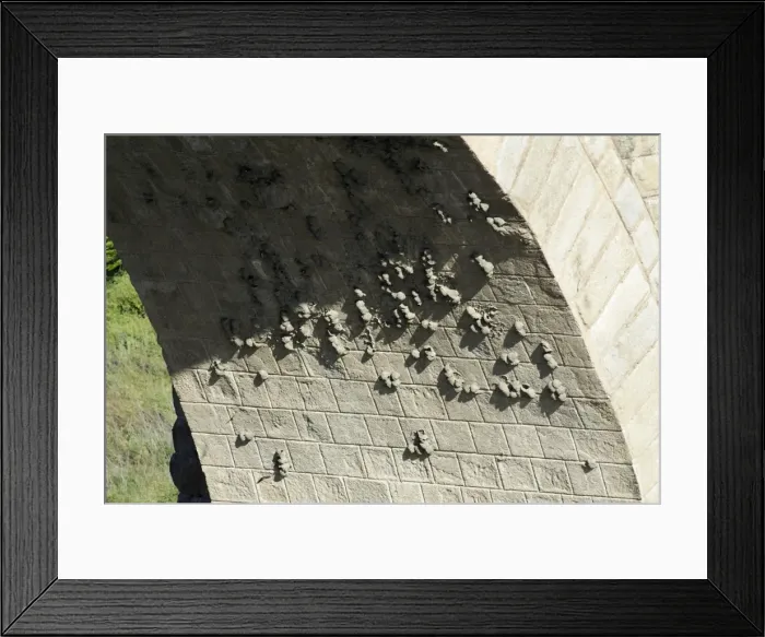 Framed Print : Crag Martin - nesting colony on Roman bridge arch, over the river Tejo, Alcantara, Extremadura, Spain Framed Print : Crag Martin - nesting colony on Roman bridge arch, over the river Tejo, Alcantara, Extremadura, Spain