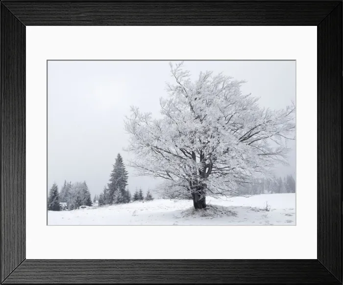 Framed Print : Šumava region in the Czech Republic Framed Print : Šumava region in the Czech Republic