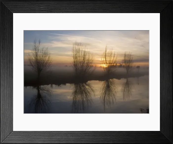 Framed Print : Pollard Willow - Alongside river at sunset - Winter - The Netherlands, Overijssel, Staphorst Framed Print : Pollard Willow - Alongside river at sunset - Winter - The Netherlands, Overijssel, Staphorst