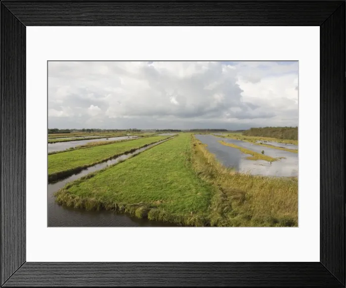 Framed Print : Fenland Remains of the era of peat digging, leeves The Netherlands, Overijssel, Nature reserve ´De Wieden´ Framed Print : Fenland Remains of the era of peat digging, leeves The Netherlands, Overijssel, Nature reserve ´De Wieden´