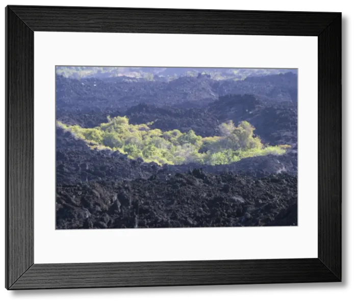 Framed Print : Grande Comore Island - Lava from Karthala Volcano Indian Ocean Framed Print : Grande Comore Island - Lava from Karthala Volcano Indian Ocean