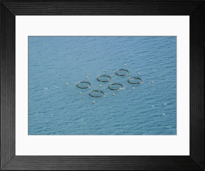 Framed Print : Fish Farming Tsingoni, Mayotte Island Indian Ocean Framed Print : Fish Farming Tsingoni, Mayotte Island Indian Ocean