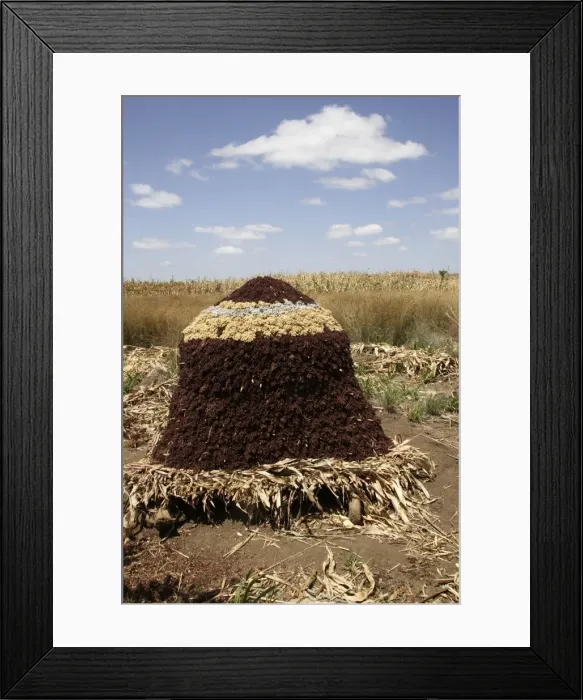 Framed Print : Granary - Sorghum  /  Millet. Gidole - Ethiopia Latin also Sorghum vulgare