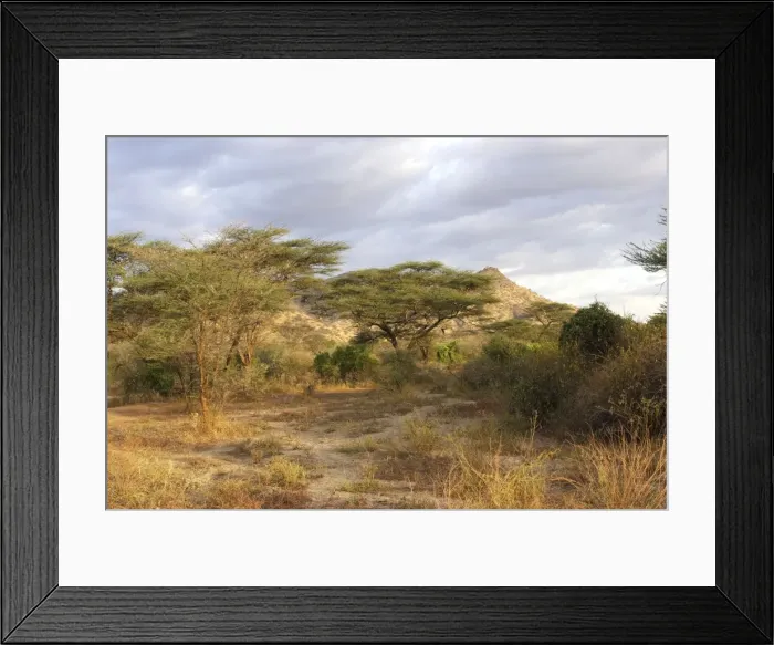 Framed Print : Savannah - National Park of Mago - South Ethiopia