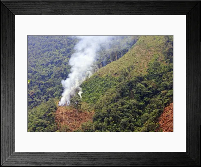 Framed Print : San Isidro Tropical Rainforest - deforestation - burning & cutting trees. Andes - Merida - Venezuela Framed Print : San Isidro Tropical Rainforest - deforestation - burning & cutting trees. Andes - Merida - Venezuela