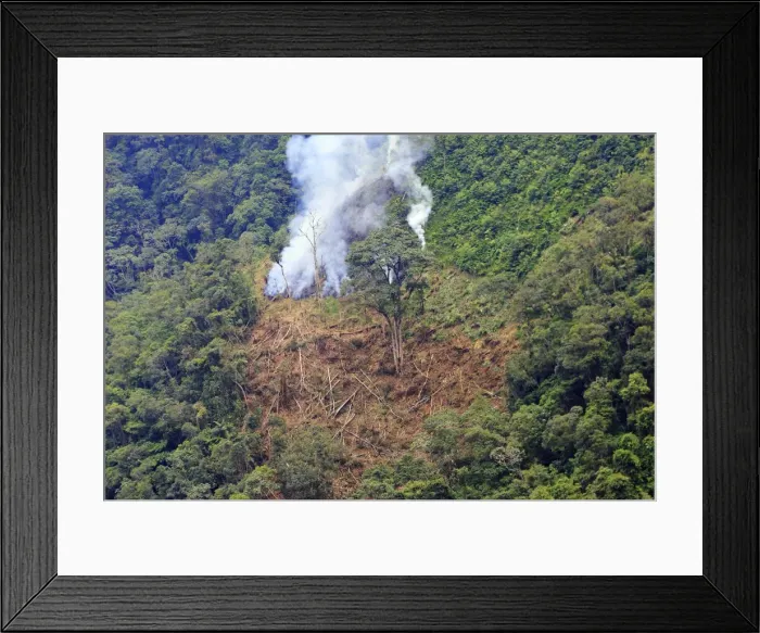 Framed Print : San Isidro Tropical Rainforest - deforestation - burning trees. Andes - Merida - Venezuela Framed Print : San Isidro Tropical Rainforest - deforestation - burning trees. Andes - Merida - Venezuela
