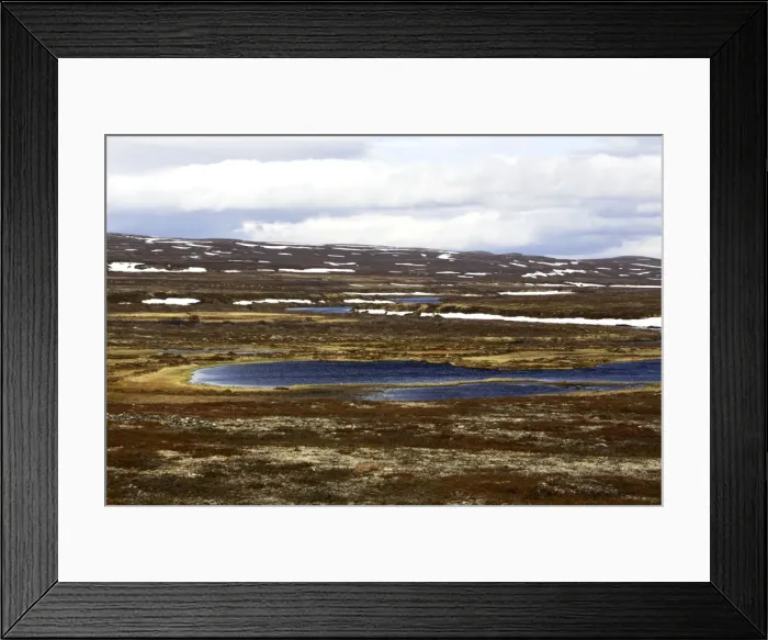 Framed Print : Norway - tundra landscape at edge of Varanger Fjord - North Norway Framed Print : Norway - tundra landscape at edge of Varanger Fjord - North Norway