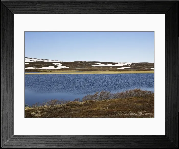 Framed Print : Norway - turndra landscape at edge of Varanger Fjord, North Norway Framed Print : Norway - turndra landscape at edge of Varanger Fjord, North Norway