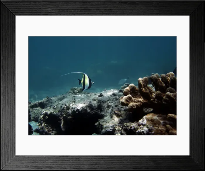 Framed Print : Morish Idol. Indian Ocean - France Framed Print : Morish Idol. Indian Ocean - France