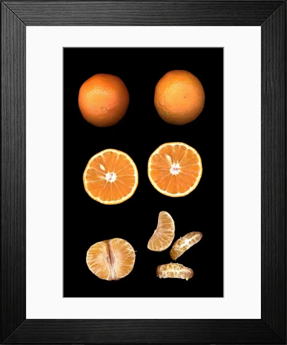 Framed Print : Fruit - Mandarin Framed Print : Fruit - Mandarin