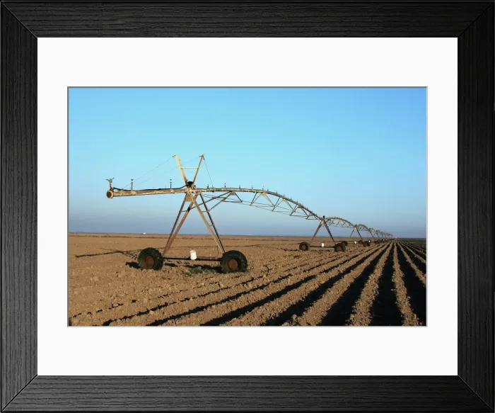 Framed Print : Irrigation - cotton field. Guadalquivir delta - Spain Framed Print : Irrigation - cotton field. Guadalquivir delta - Spain