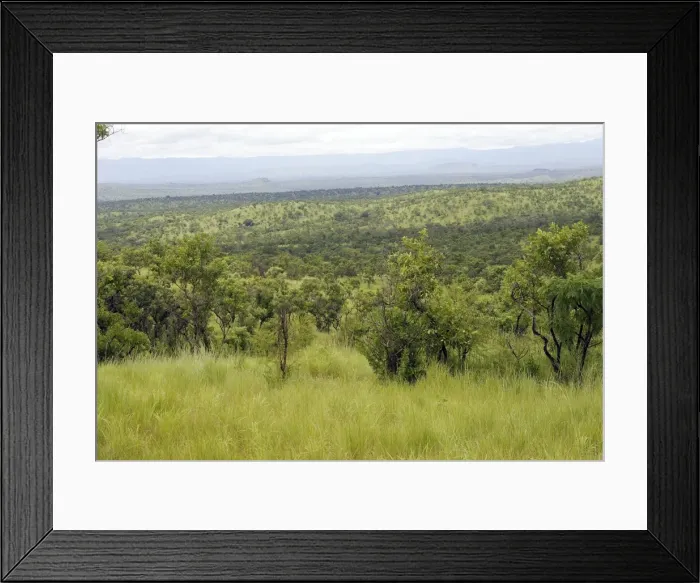 Framed Print : Ethiopia - Landscape view of the outer Region of Surma tribe of Ethiopia near town of Kibisch Ethiopia Framed Print : Ethiopia - Landscape view of the outer Region of Surma tribe of Ethiopia near town of Kibisch Ethiopia