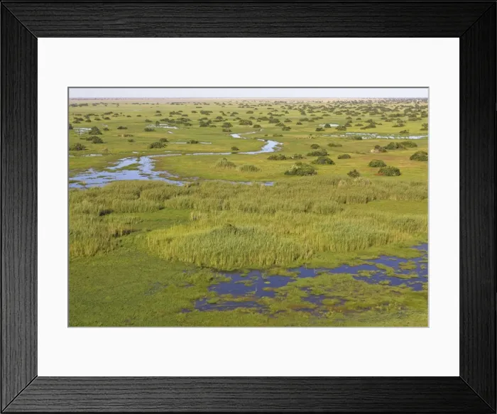 Framed Print : Zambia Bangweuleu marshes Zambia Africa Framed Print : Zambia Bangweuleu marshes Zambia Africa