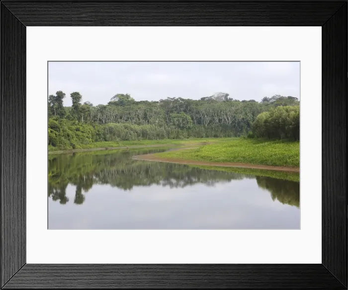 Framed Print : Peru Manu Wildlife Reserve Framed Print : Peru Manu Wildlife Reserve