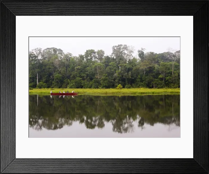 Framed Print : Peru Manu Wildlife Reserve Framed Print : Peru Manu Wildlife Reserve