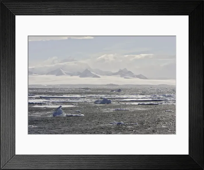 Framed Print : South Shetland Islands - Antarctic Pennisular Framed Print : South Shetland Islands - Antarctic Pennisular