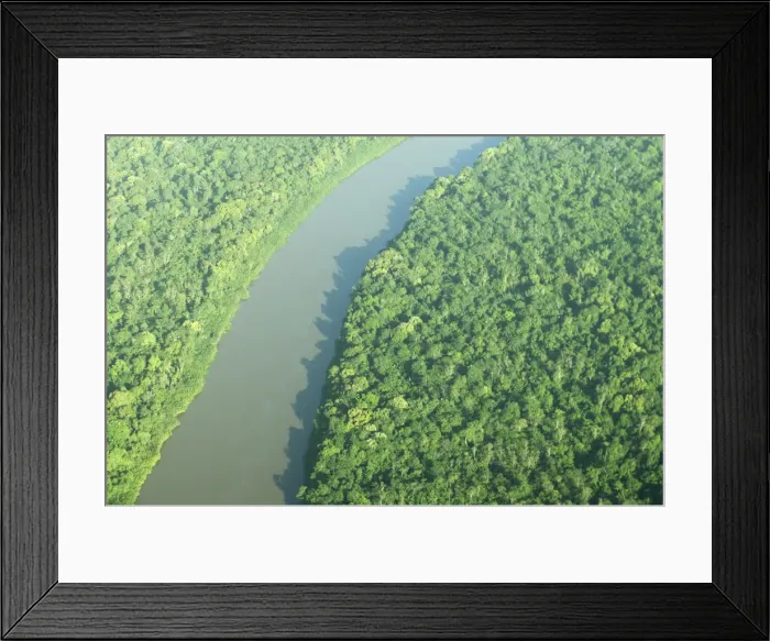 Framed Print : Coppename River and Rainforest Central Suriname Nature Reserve South America Framed Print : Coppename River and Rainforest Central Suriname Nature Reserve South America
