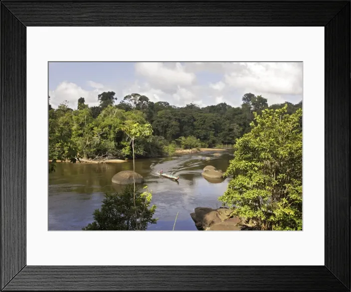Framed Print : Suriname - Coppename River Central Suriname nature reserve. 1, 6 million d'hectares 3, 6 millions d'acres Framed Print : Suriname - Coppename River Central Suriname nature reserve. 1, 6 million d'hectares 3, 6 millions d'acres