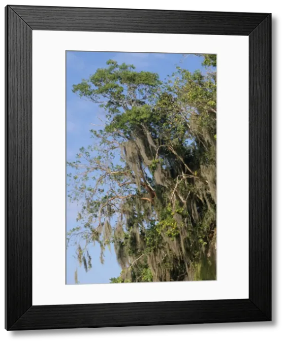 Framed Print : Dominican Republic - Los Haitises National Park Framed Print : Dominican Republic - Los Haitises National Park