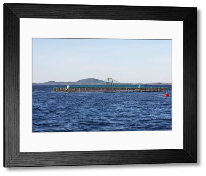 Framed Print : Salmon fish farm - Flatanger - Norway Framed Print : Salmon fish farm - Flatanger - Norway