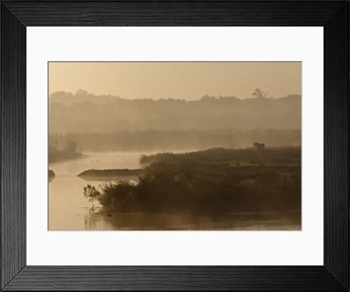 Framed Print : Le Parc Ornithologique du Teich - Arcachon - Bassin d'Arcachon - Gironde - France Framed Print : Le Parc Ornithologique du Teich - Arcachon - Bassin d'Arcachon - Gironde - France