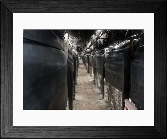 Framed Print : Entrance to Wood Pigeon hunting area - Pine Forest - Les Landes - France Framed Print : Entrance to Wood Pigeon hunting area - Pine Forest - Les Landes - France