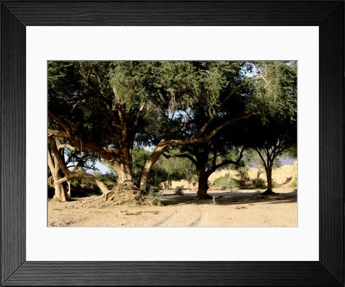 Framed Print : Huab River Dry River bed. Namibia Framed Print : Huab River Dry River bed. Namibia