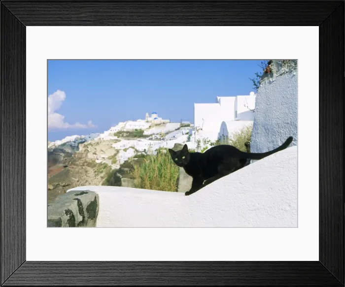 Framed Print : Black Cat - on wall - Santorini Island Greece Framed Print : Black Cat - on wall - Santorini Island Greece