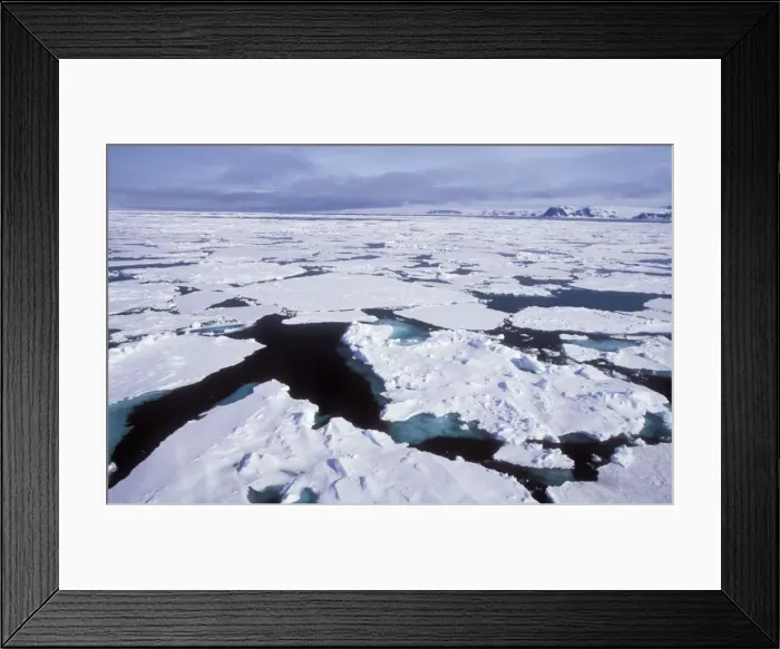 Framed Print : Spitzberg Pack ice, Swalbard Framed Print : Spitzberg Pack ice, Swalbard