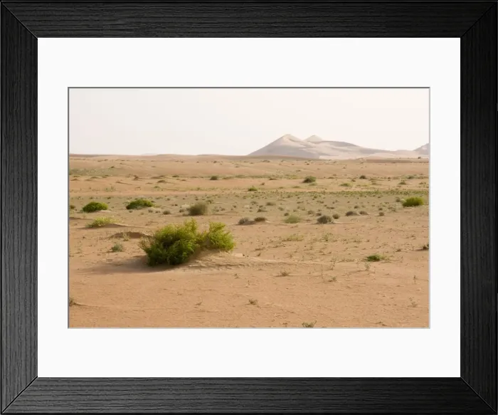 Framed Print : Desert - patterns on sand - Abu Dhabi - United Arab Emirates Framed Print : Desert - patterns on sand - Abu Dhabi - United Arab Emirates