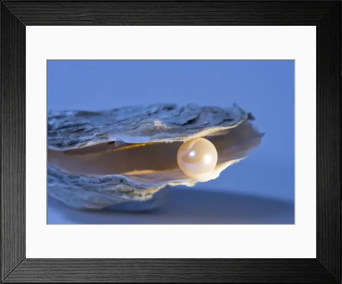 Framed Print : Oyster Shell With artificial pearl Framed Print : Oyster Shell With artificial pearl