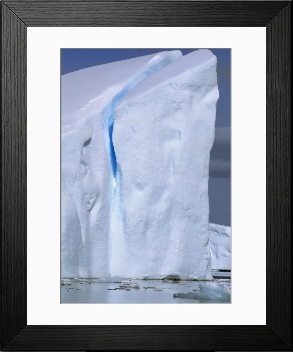 Framed Print : Icebergs in Girard Bay, South end of Lemaire Channel Antarctic Peninsula, December JPF42850 Framed Print : Icebergs in Girard Bay, South end of Lemaire Channel Antarctic Peninsula, December JPF42850