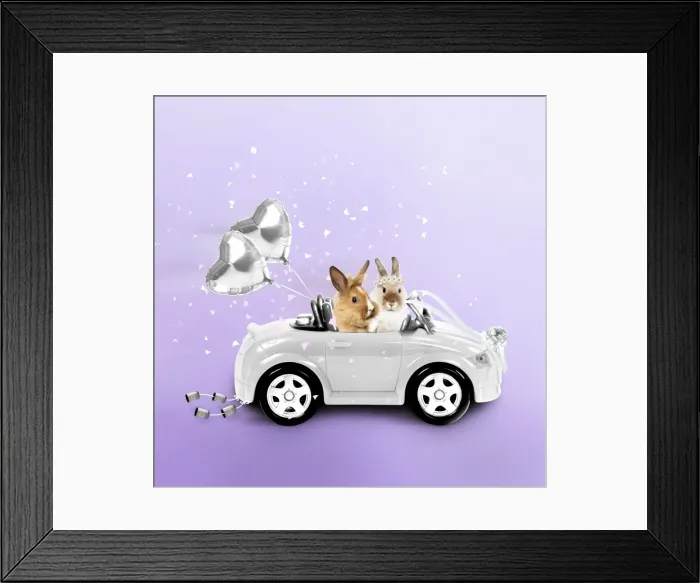 Framed Print : Rabbits driving wedding car Manipulated Image: Added Balloons (JD), Rabbits (LA), cans, confetti, ribbons & changed colours Framed Print : Rabbits driving wedding car Manipulated Image: Added Balloons (JD), Rabbits (LA), cans, confetti, ribbons & changed colours
