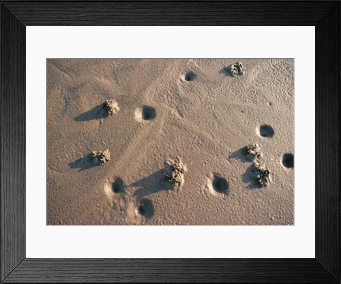 Framed Print : Lugworm - casts Framed Print : Lugworm - casts