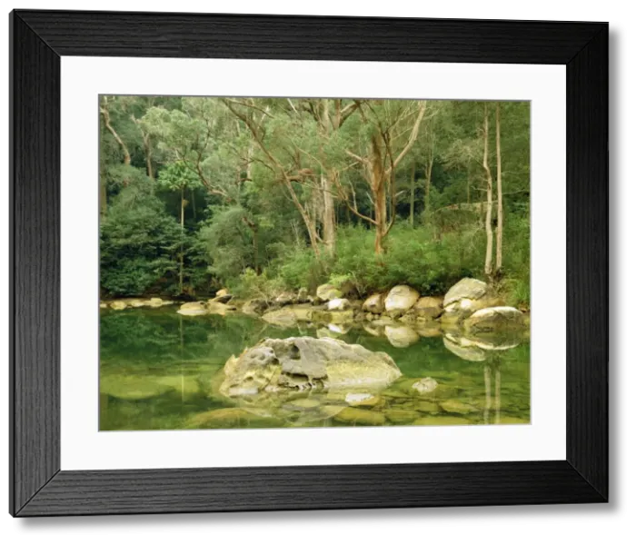 Framed Print : McCarras Creek Ku-ring-gai Chase National Park, Sydney, New South Wales, Australia JPF25328 Framed Print : McCarras Creek Ku-ring-gai Chase National Park, Sydney, New South Wales, Australia JPF25328